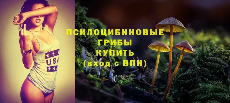 Галлюциногенные грибы Cubensis  Заинск 